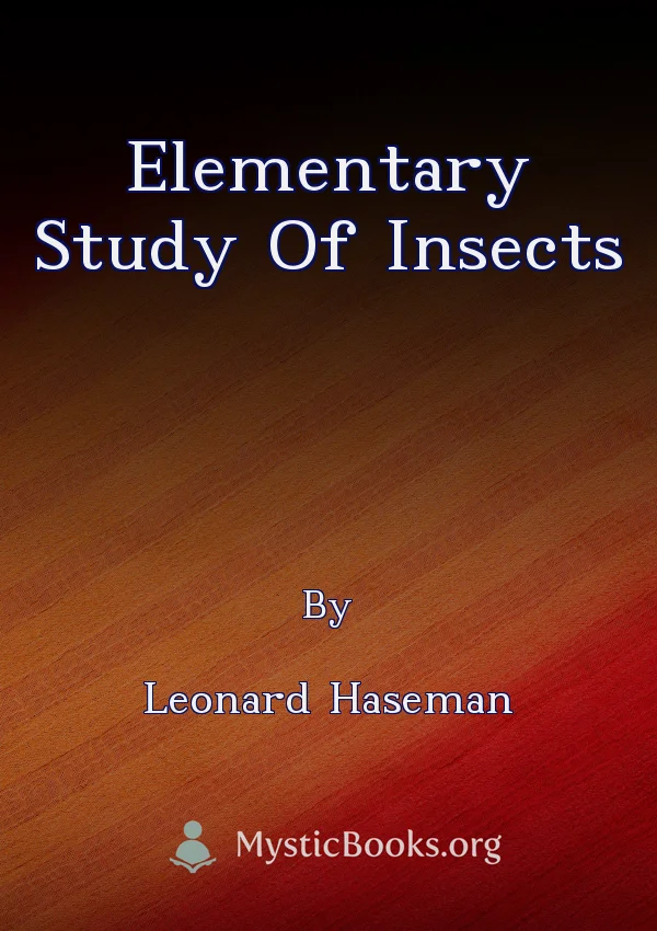Elementary Study Of Insects
