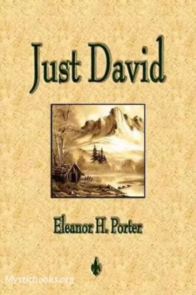 Cover of Book 'Just David'
