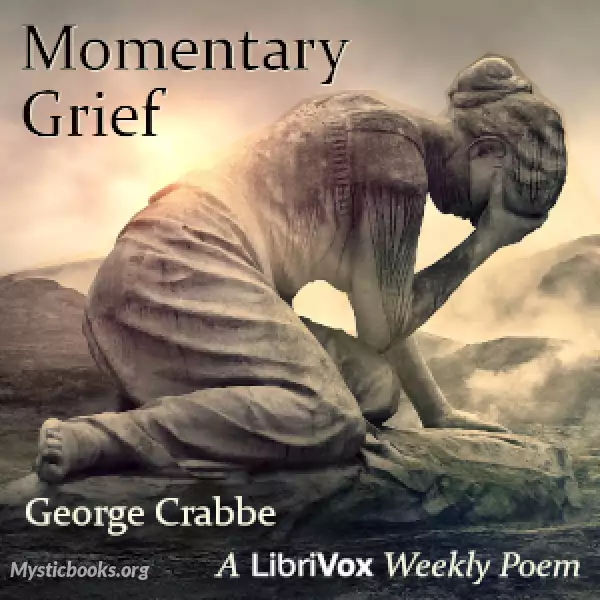 Cover of Book 'Momentary Grief'