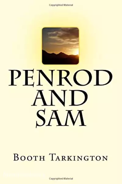 Cover of Book 'Penrod and Sam '
