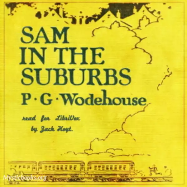 Cover of Book 'Sam In The Suburbs'