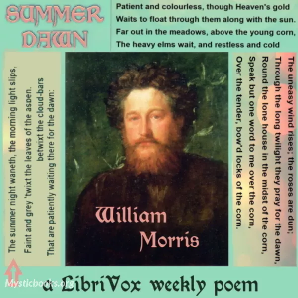 Book Cover of Summer Dawn