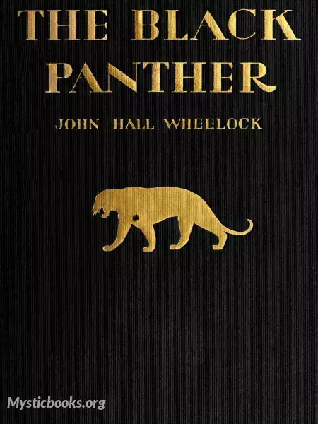 Book Cover of The Black Panther