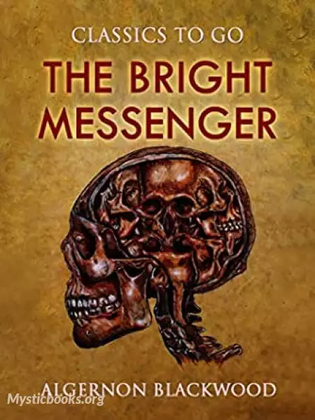 Book Cover of The Bright Messenger