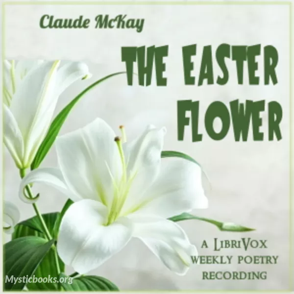 Book Cover of The Easter Flower