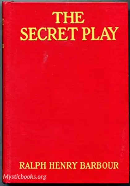 Book Cover of The Secret Play