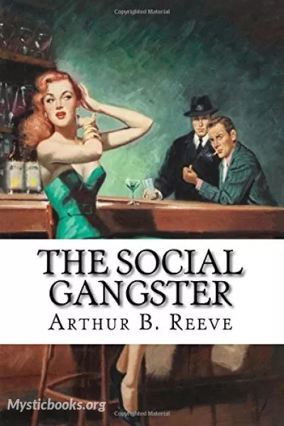 Book Cover of The Social Gangster