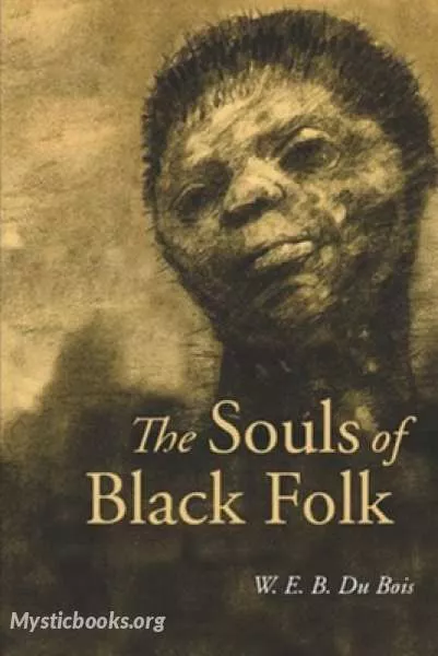 Cover of Book 'The Souls of Black Folk'