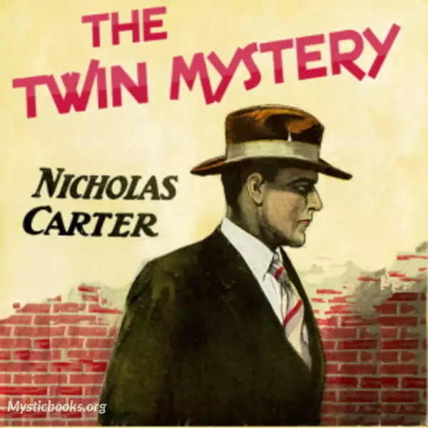 Book Cover of The Twin Mystery