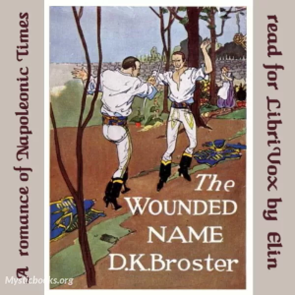 Book Cover of The Wounded Name