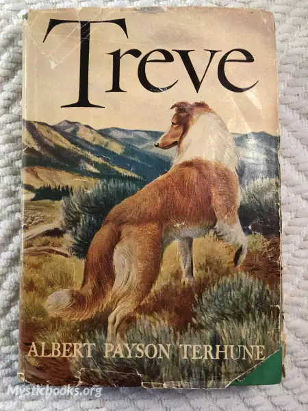 Cover of Book 'Treve'