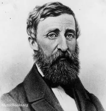 Henry David Thoreau image