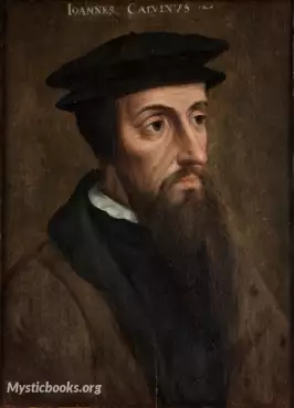 John Calvin image