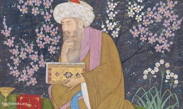 Muhammad ibn 'Abd al-Malik Ibn Tufail image