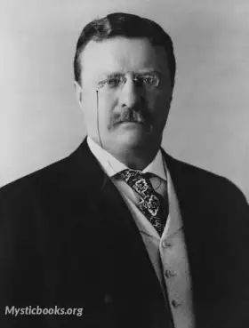 Theodore Roosevelt image