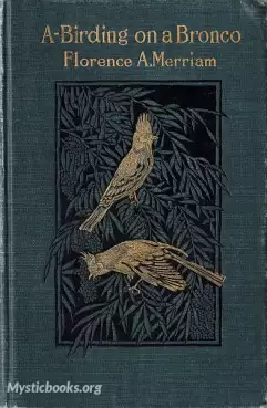 A-Birding on a Bronco Cover image