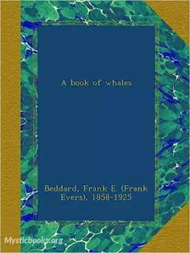 A Book of Whales Cover image