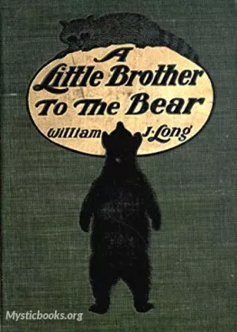 A Little Brother to the Bear Cover image