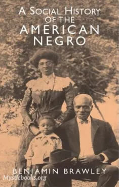 A Social History of the American Negro Cover image