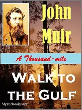 Book Cover of A Thousand Mile Walk to the Gulf