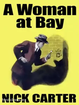 A Woman at Bay Cover image