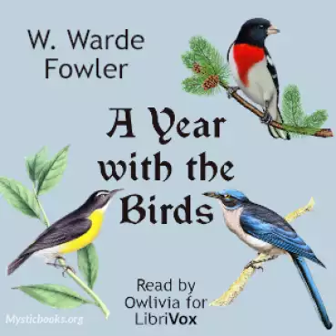 Book Cover of A Year with the Birds
