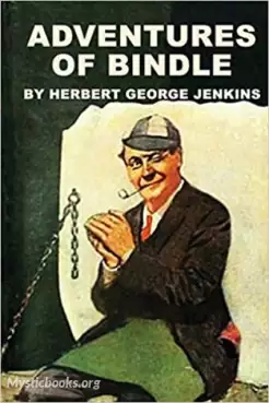 Adventures of Bindle Cover image