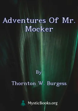 Adventures of Mr. Mocker Cover image