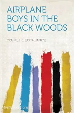 Airplane Boys in the Black Woods Cover image