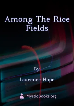 Among the Rice Fields Cover image