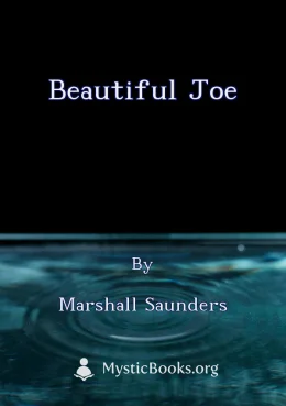 Beautiful Joe Cover image