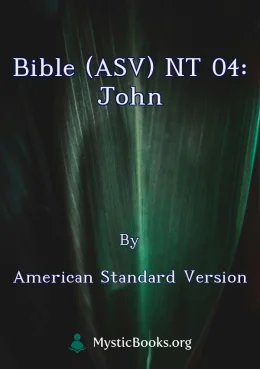 Bible (ASV) NT 04: John Cover image
