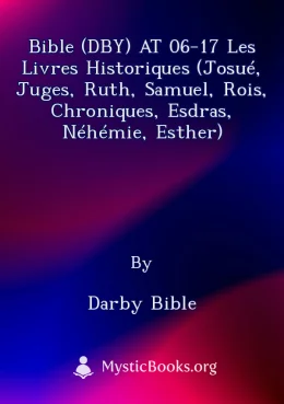 Bible (DBY) AT 06-17 Les Livres historiques (Josué, Juges, Ruth, Samuel, Rois, Chroniques, Esdras, Néhémie, Esther) Cover image