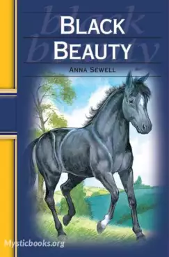 Black Beauty Cover image