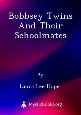 Bobbsey Twins and Their Schoolmates Cover image