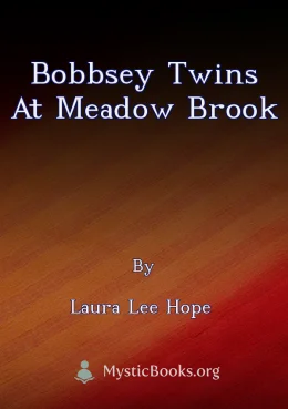 Bobbsey Twins at Meadow Brook Cover image