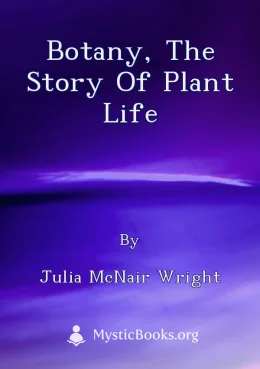 Botany, The Story of Plant Life Cover image