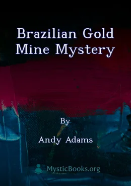 Brazilian Gold Mine Mystery Cover image