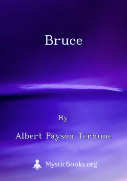 Bruce Cover image