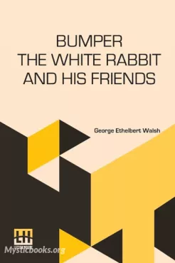 Bumper the White Rabbit and His Friends Cover image
