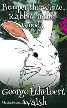Bumper the White Rabbit in the Woods Cover image
