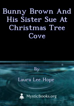 Bunny Brown and his Sister Sue at Christmas Tree Cove Cover image
