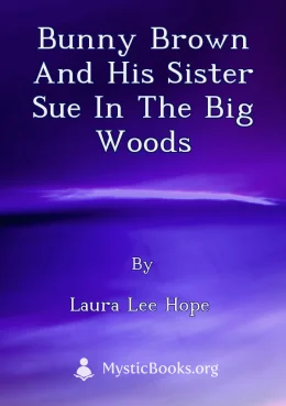 Bunny Brown and His Sister Sue in the Big Woods Cover image
