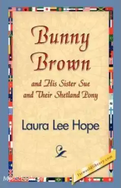 Book Cover of Bunny Brown and His Sister Sue 