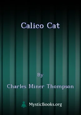 Calico Cat Cover image