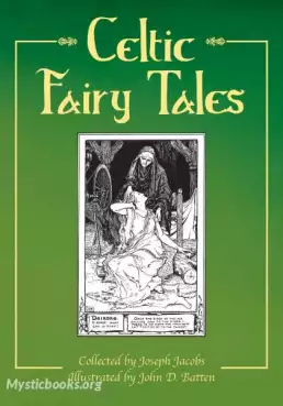 Book Cover of Celtic Fairy Tales