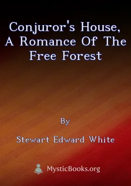 Conjuror's House, a Romance of the Free Forest Cover image