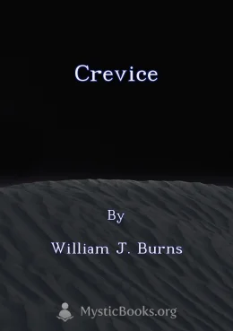 Crevice Cover image