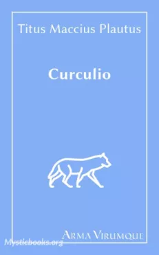 Curculio; or, The Forgery Cover image