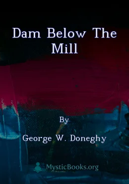 Dam Below the Mill Cover image